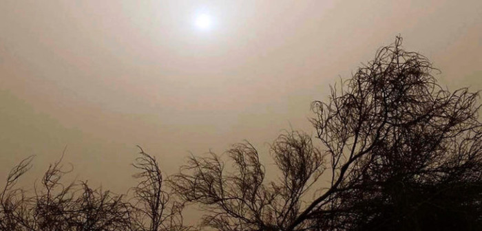 Onemi advierte sobre tormentas de arena para el próximo martes en región de Tarapacá