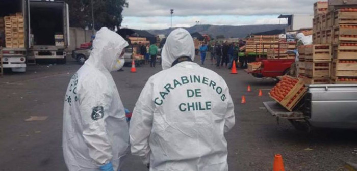 Encuentran muerto a hombre al interior de camión en Macroferia de Talca