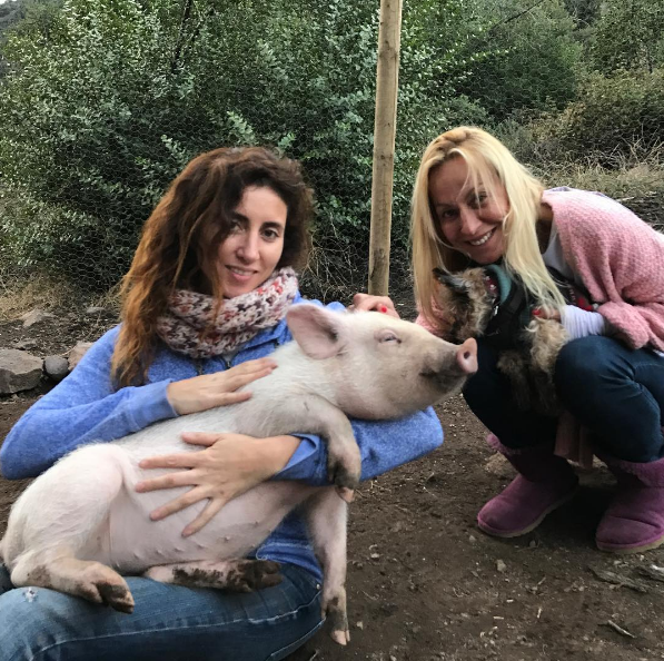 Roxy Cerdita | Instagram