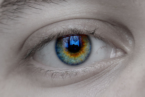 Daniel Dionne | Flickr (cc)