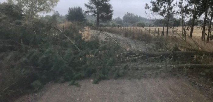 Equipo de televisión sufrió emboscada en camino rural de La Araucanía