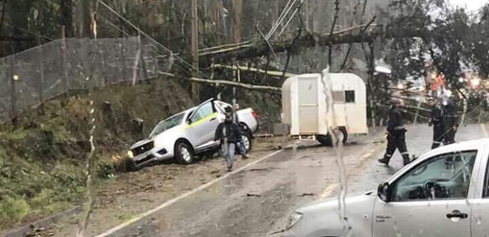 Conductor muere tras caída de árbol sobre su vehículo debido a fuertes vientos en el Maule