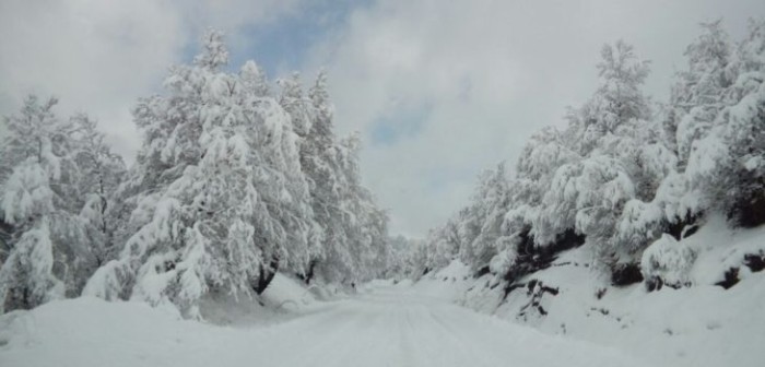 Frío extremo: comuna de La Araucanía registró la temperatura más baja del año