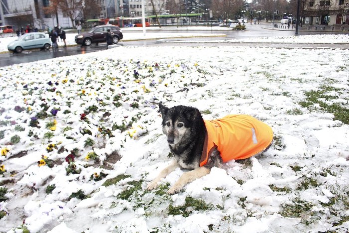 Las espectaculares fotografías de un Santiago que amaneció 