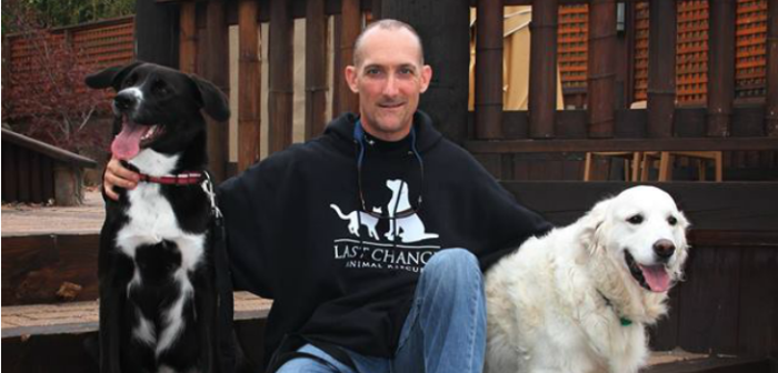 Emotivo video de perrito salvando a un ciervo bebé enterneció a las redes sociales