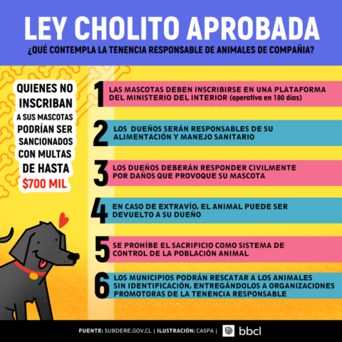 Subdere.gov.cl | Caspa | BioBioChile