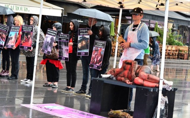 Vegan Impact | Facebook