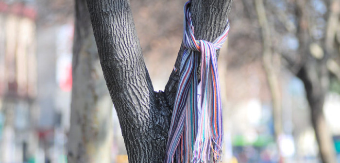 ¿Por qué hay bufandas amarradas a los árboles en la Región Metropolitana?