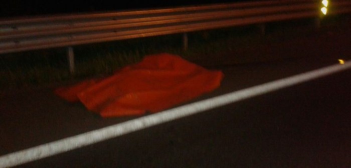 Fatal accidente en Ruta 5 Sur: hombre falleció tras ser arrollado por un camión