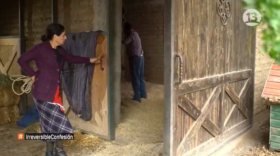 Canal 13 | Irreversible