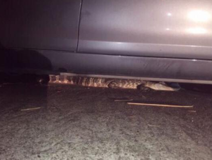  FBCSO Texas | Twitter