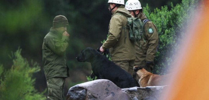 En estas condiciones Carabineros rescató a joven extraviado en Cerro Panul en La Florida