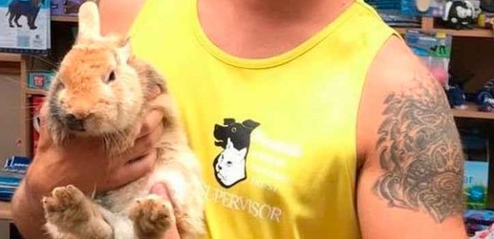 ¡Coquetas! foto de conejo desamparado se vuelve viral por motivo equivocado