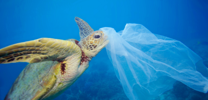 Chile será el primer país de América en prohibir bolsas plásticas en comunas costeras