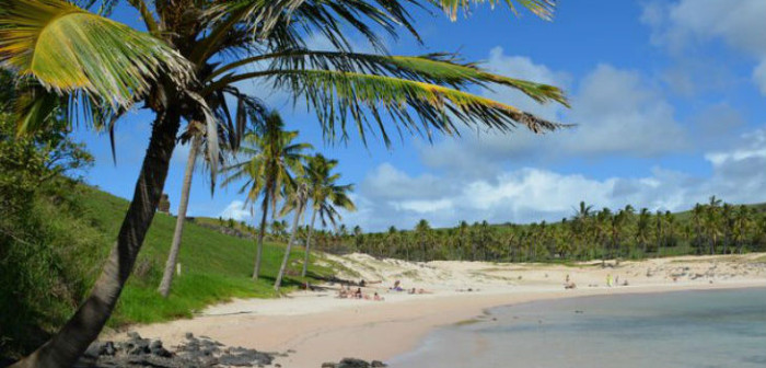40 ejemplares de fragata portuguesa llegaron a Isla de Pascua: cierran playa Anakena