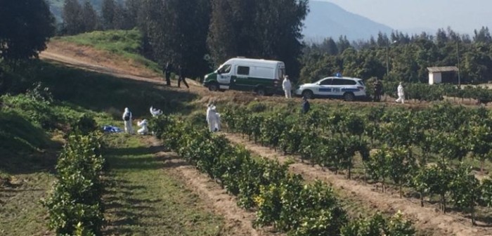 Hallan cuerpo descuartizado en bolsas de basura: tatuaje sería clave en la investigación