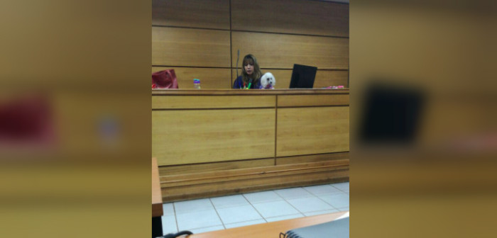Jueces criticaron caso de magistrada que llegó a audiencia con su perrita