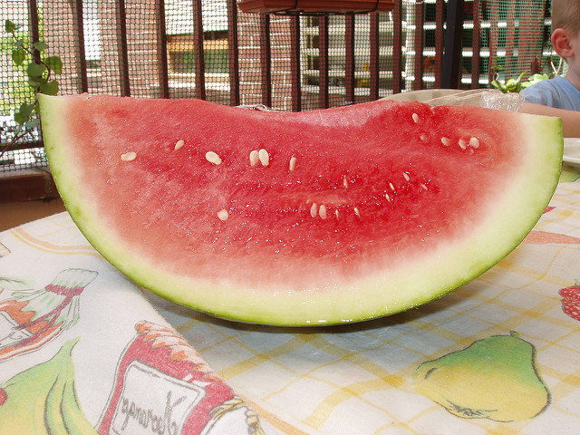  Fernando | Flickr (cc)