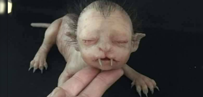 El muñeco de silicona que atemorizó a algunos cibernautas: pensaron que era real