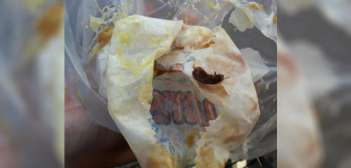 Polémica por supuesto insecto hallado en papas fritas de tradicional local penquista