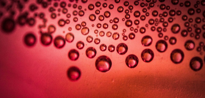 Anuncian plan de contingencia para extraña enfermedad que afectó a trabajadores de Osorno