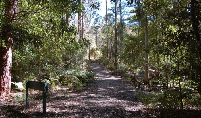Una madre y su hijo de 9 años sobreviven tras diez días perdidos en un bosque de Australia
