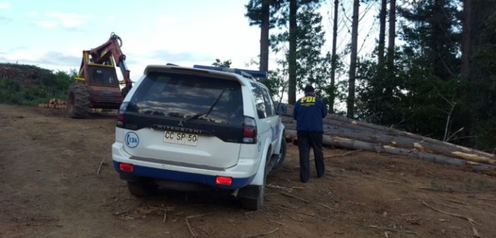 Un trabajador falleció en una faena forestal tras ser golpeado por un árbol en Nacimiento