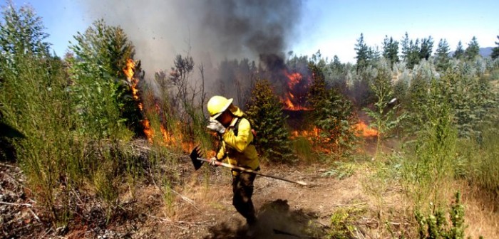 Mujer arriesga 10 años de cárcel tras ser declarada culpable de 2 incendios forestales