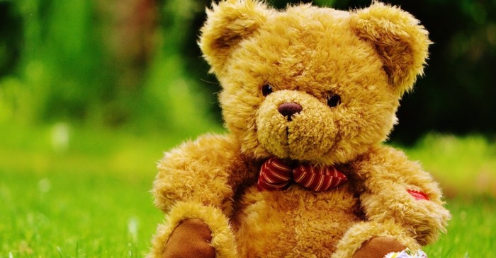 ¡Qué decepción! Compraron oso de peluche gigante en Amazon pero no es como imaginaban