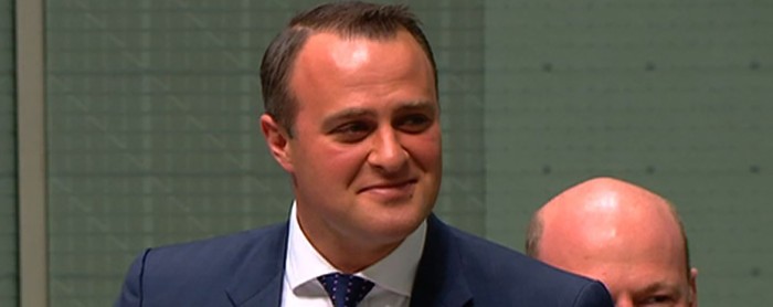 Diputado australiano pide la mano a su novio en pleno parlamento