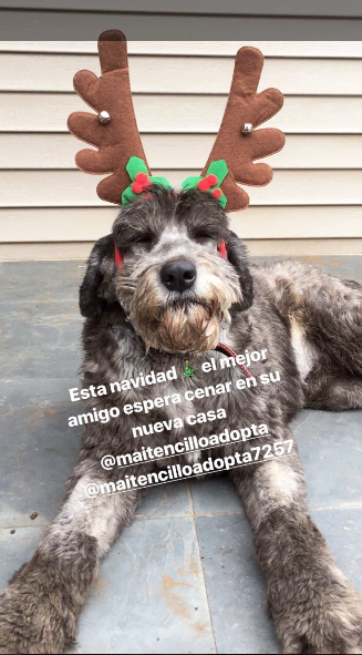 Mayte Rodríguez | Instagram