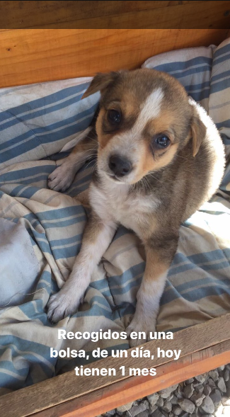 Mayte Rodríguez | Instagram