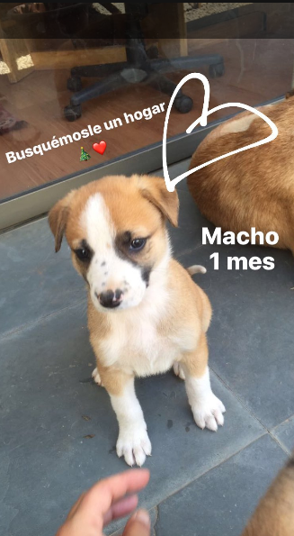 Mayte Rodríguez | Instagram