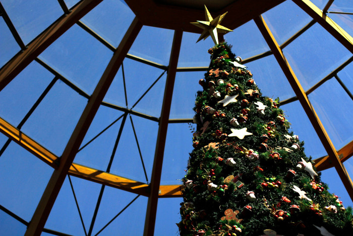 Lo estábamos haciendo mal: esta es la forma correcta de poner las luces en árbol de Pascua