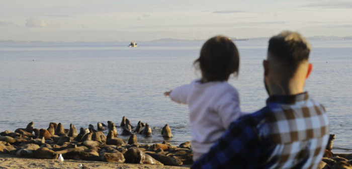 Programa de Sernatur financia el 95% de tus vacaciones: conoce cómo postular