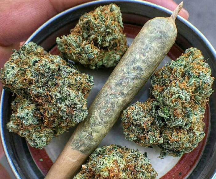 ¡Fail! Traficante que llevaba mil pitos de marihuana confundió vehículo policial con taxi