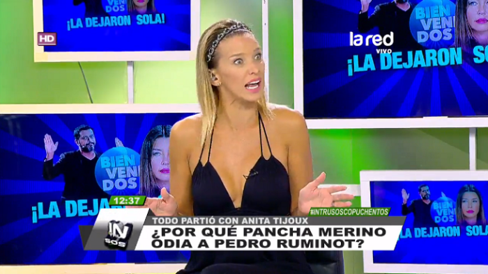 Claudia Schmidt por dichos de Francisca Merino contra Ruminot: 