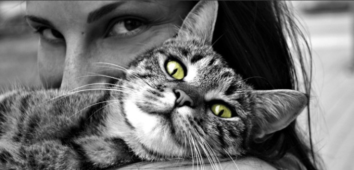 Mujer pensó haber rescatado a 'gato abandonado': se trataba de otro temido animal