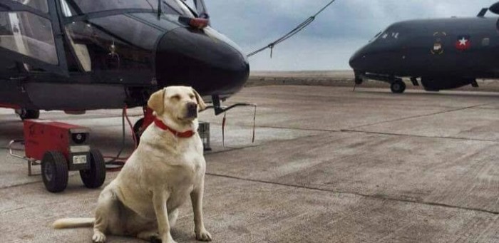 Valentina: de ser lanzada en una bolsa desde un auto a cabo primero de la Aviación Naval