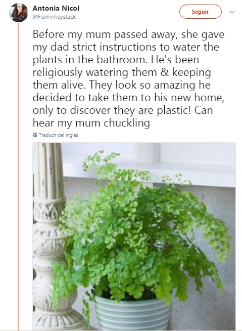 Antonia Nicol | Twitter