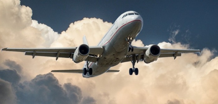 Mujer intentó viajar en compañía de exótica ave en un avión: le compró hasta el pasaje