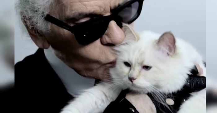 Exclusiva y millonaria: conoce a ‘Choupette’, la gatita más famosa del mundo de la moda