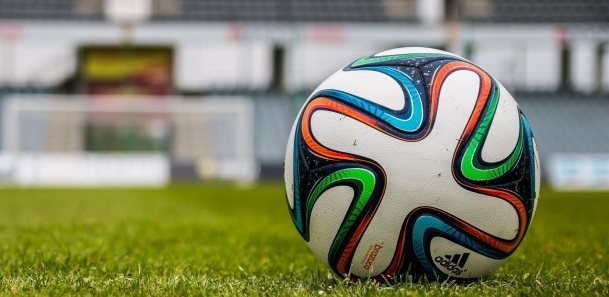 La indignante medida que tomaron en Rusia previo al Mundial: animalistas reaccionaron