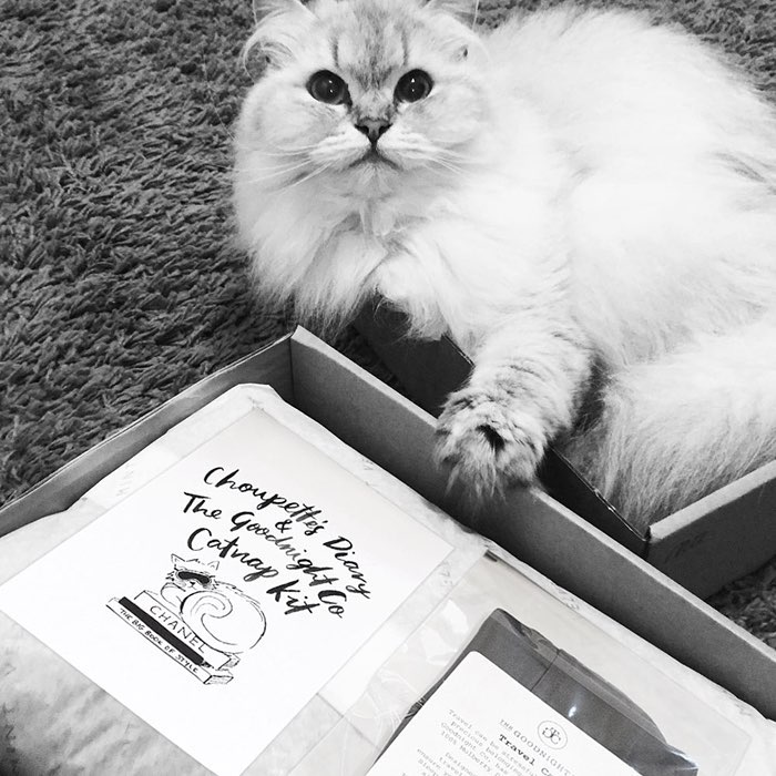 Choupette Lageferld | Instagram