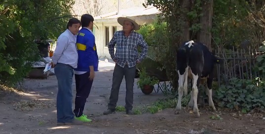 Cómica referencia a Mauricio Isla y Gala Caldirola se tomó capítulo de 'Si yo fuera rico'