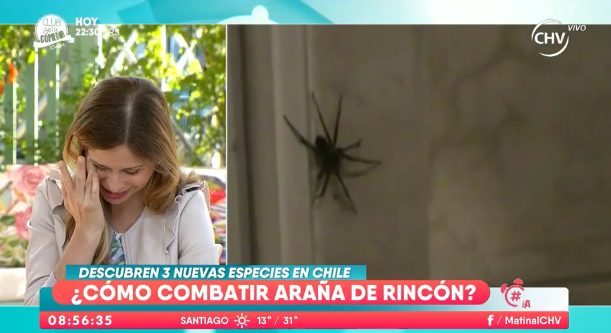 Karina Álvarez sufrió al enfrentar su peor miedo en 'La Mañana' de CHV: las arañas