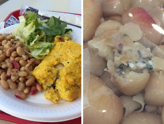 Almuerzo desagradable: cliente encontró larvas al interior de su ensalada en Temuco