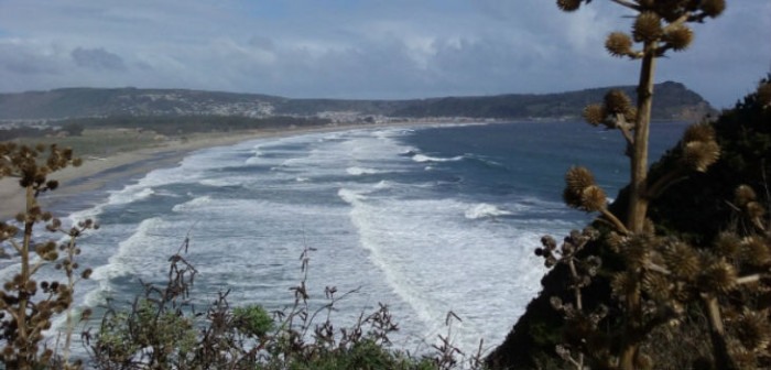 Estado deberá pagar $445 millones a familiares de víctimas del tsunami de 2010 en Lebu