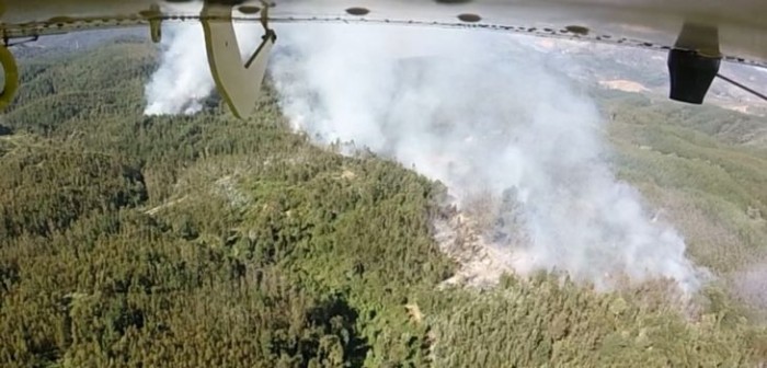 Alerta Amarilla para Bío Bío y Ñuble tras 8 focos de incendios activos