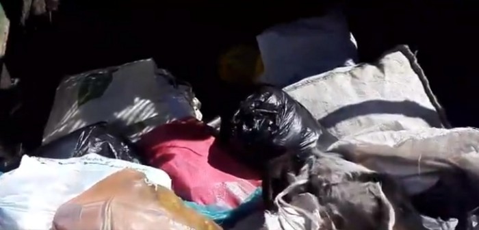Video capta indignante situación en Rancagua: perro maltratado fue botado vivo a la basura